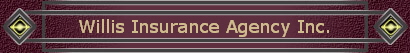 Willis Insurance Agency Inc.